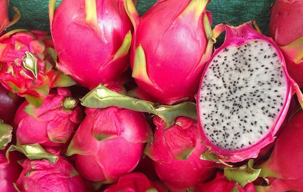 PITAHAYA