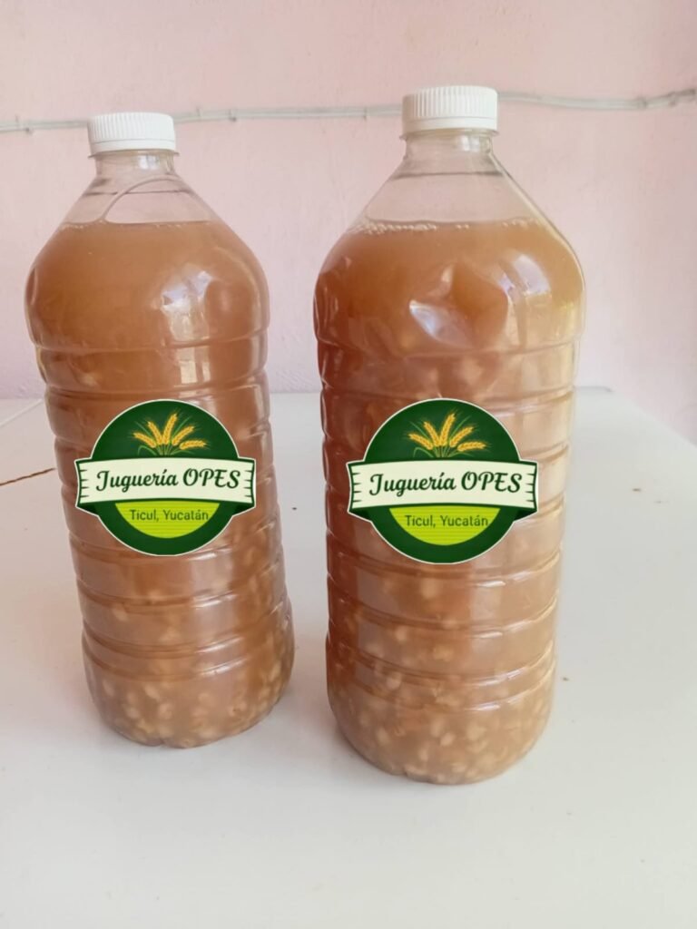 JUGO DE CEBADA LITRO