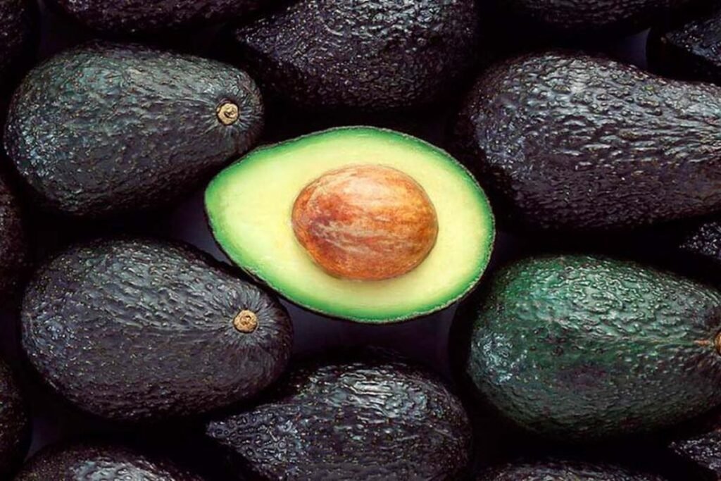 AGUACATE HASS