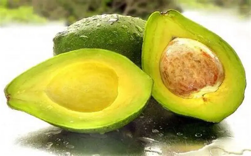 AGUACATE LOCAL