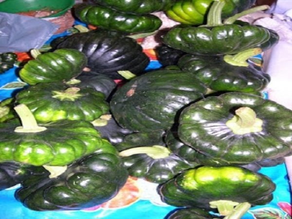 CALABAZA LOCAL