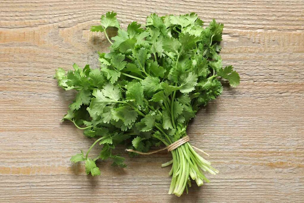 CILANTRO MENUDEADO