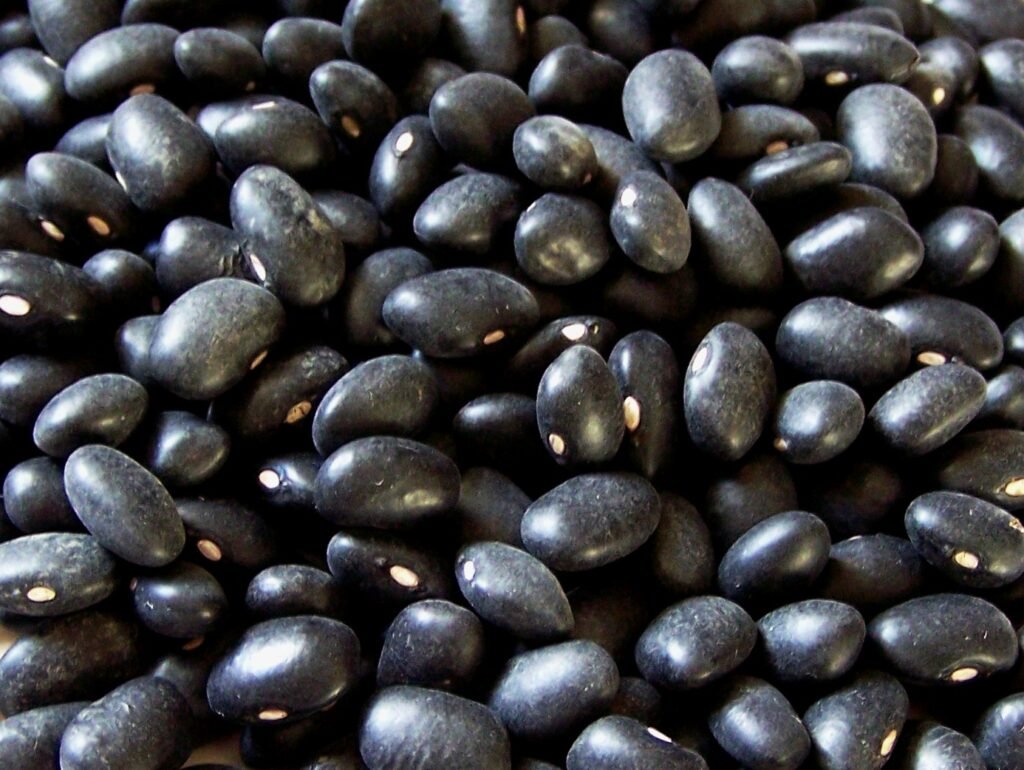 FRIJOL NEGRO