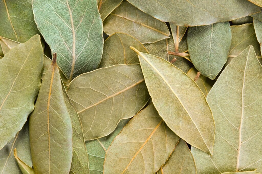 LAUREL