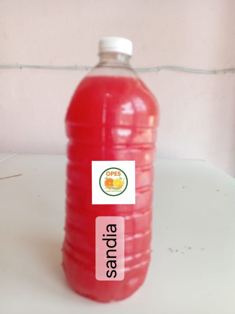 JUGO DE SANDIA 1L.