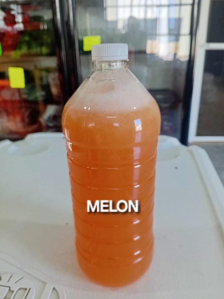 JUGO DE MELON 1L