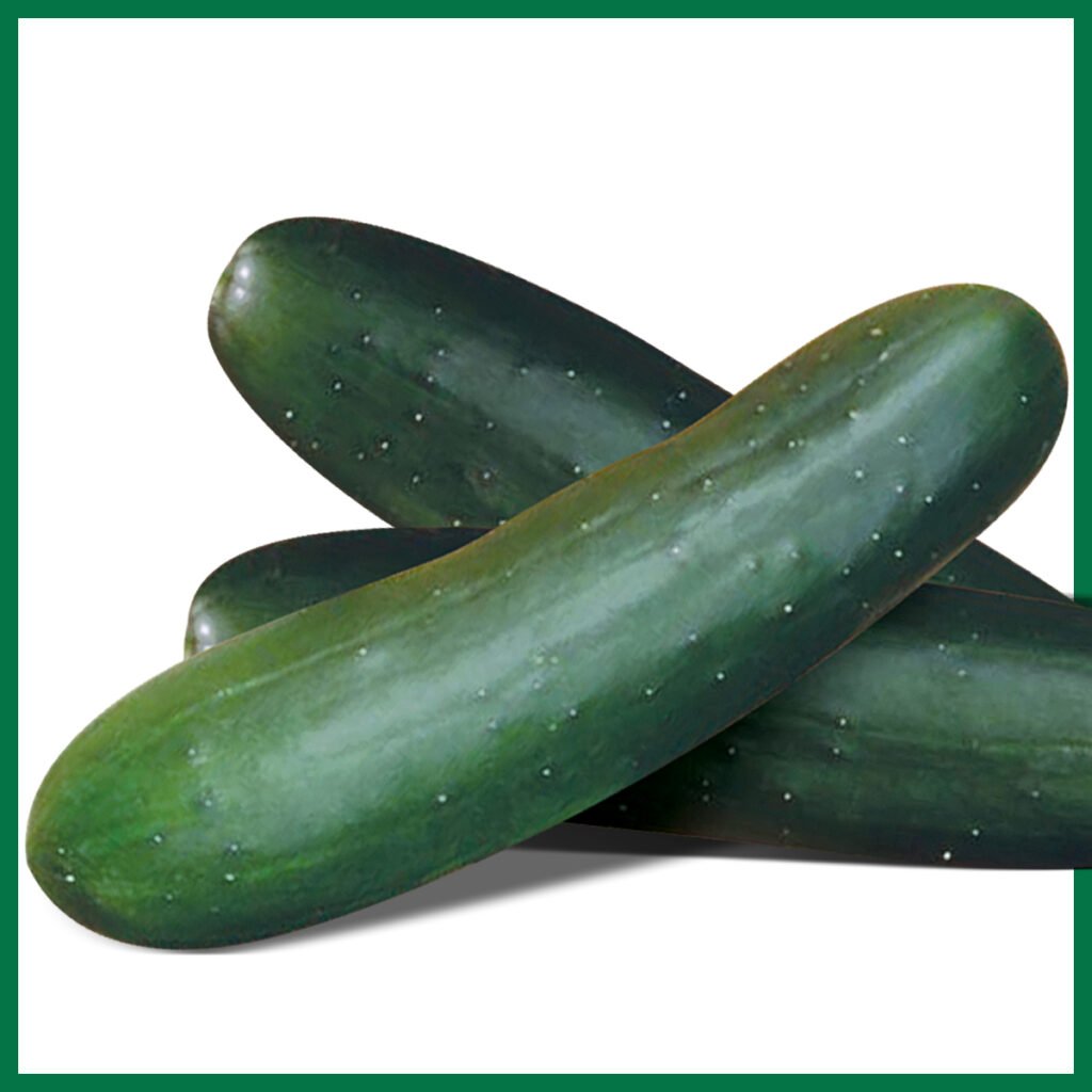 PEPIN0 VERDE